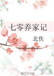 七零养家记 北佚 txt