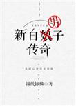 新白男子传奇txt