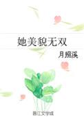 她美貌无双 月照溪男主