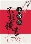 王爷他不像读书作者故砚殊