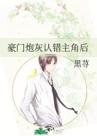 我不追你了
