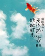 是你路过我的倾城时光百度