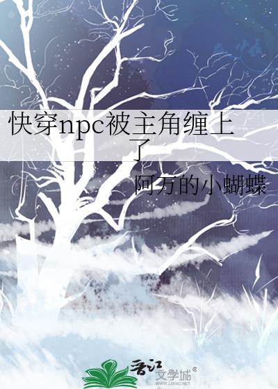 快穿之npc的世界