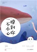 一不小心撩到你笔趣阁罗漪