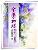 宝妻作品全部