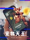 宠物天王评价
