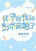 怀孕后我和影帝离婚了免费阅读全文