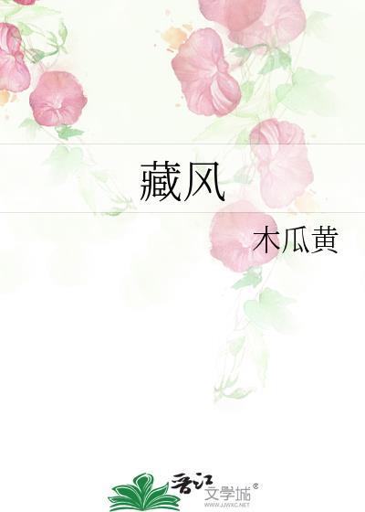 藏风美少年主题曲