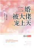 二婚被大佬宠上天类似文
