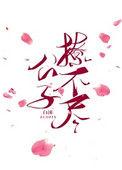 公子不好用