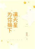 为你摘下满天星曲谱简谱