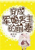 穿成军婚男主的前妻TXT