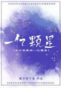 剧名从天而降的一亿颗星星