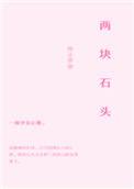 两块石头小故事