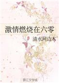激情燃烧在六零作者清水河边木(完结)