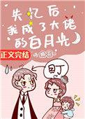 失忆后我成了大佬的白月光 耿其心