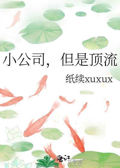 小公司但是顶流