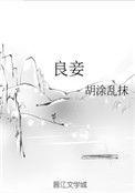 良妾全文免费阅读