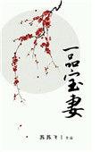 一品宝妻txt下书网