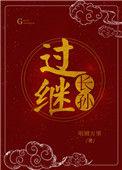 过继长孙全文免费阅读