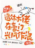 退休大佬在豪门兴风作浪番外