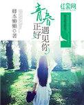 正好遇见青春作文600字