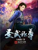 圣武称尊境界划分
