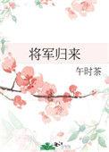 将军归来韩素