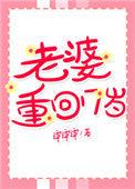老婆重回17岁番外
