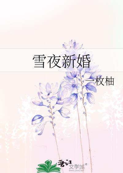 雪夜新婚番外