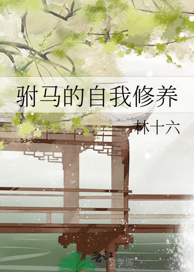 驸马的自我修养宋淮州