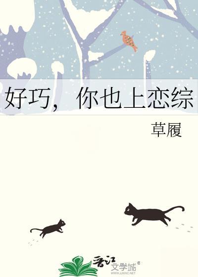 你也是a第22章