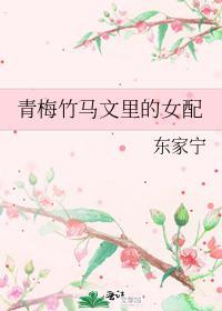 青梅竹马文里的女配作者东家宁