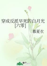 高热量高蛋白的食物有哪些