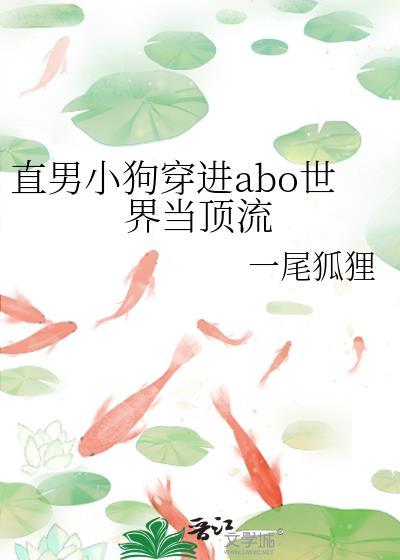 直男穿进言情后