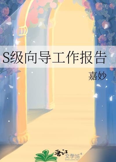 s级向导工作报告男主是谁