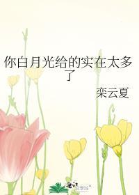 白月光对我用了钞能力免费阅读