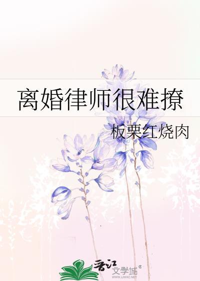 律师离婚律师