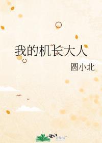 我的机长大人慕司寒