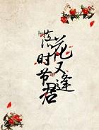落花时节又逢君是什么意思