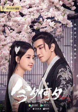 今夕何夕电视剧在线观看免费