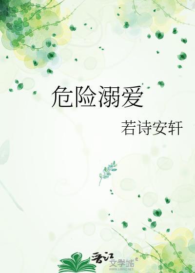 危险溺爱作者若诗安轩