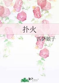 扑火飞蛾