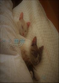 同床异梦的意味着什么