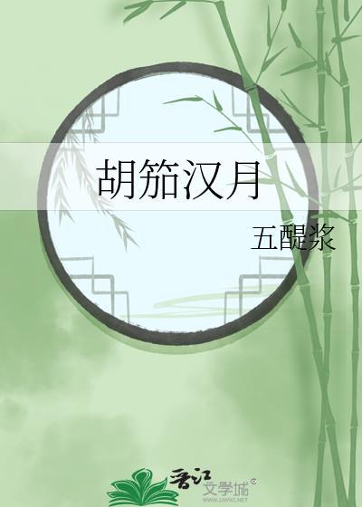 胡笳汉月电视剧全集