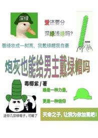 炮灰男友是啥意思