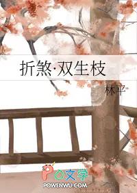 双生双煞什么意思