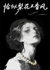 恰似梨花锁寒夜