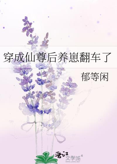 成了仙尊后她又穿回来了