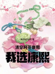 我选康熙免费阅读